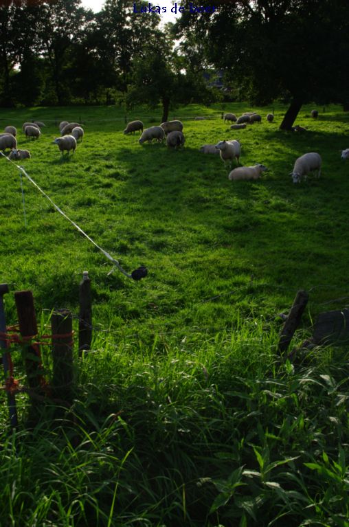 tour (61).jpg - Bijna schemering